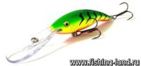 Воблер Rapala Deep Tail Dancer 09 (9см, 13гр, 6м) BLT