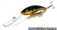 Воблер Rapala Deep Tail Dancer 09 (9см, 13гр, 6м) FLP