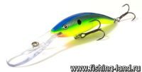 Воблер Rapala Deep Tail Dancer 09 (9см, 13гр, 6м) PRT