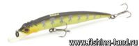 Воблер Fishycat Libyca 75SP (7,5см, 4,7гр, 0,8-1,2м) suspending X04