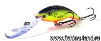 Воблер Rapala Deep Tail Dancer 09 (9см, 13гр, 6м) HS