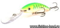 Воблер Rapala Deep Tail Dancer 09 (9см, 13гр, 6м) GTU