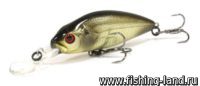 Воблер Asakura Perch 10 DR-F (10см, 31гр, 1,5-2м) floating 522