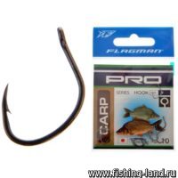 Крючок FLAGMAN Pro Carp №10 10шт